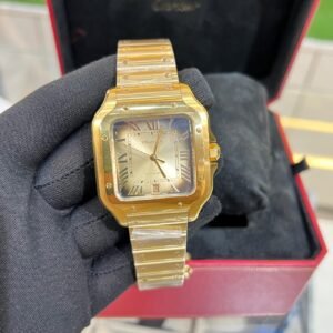 hublot | men | automatic | anmol watches (copy)